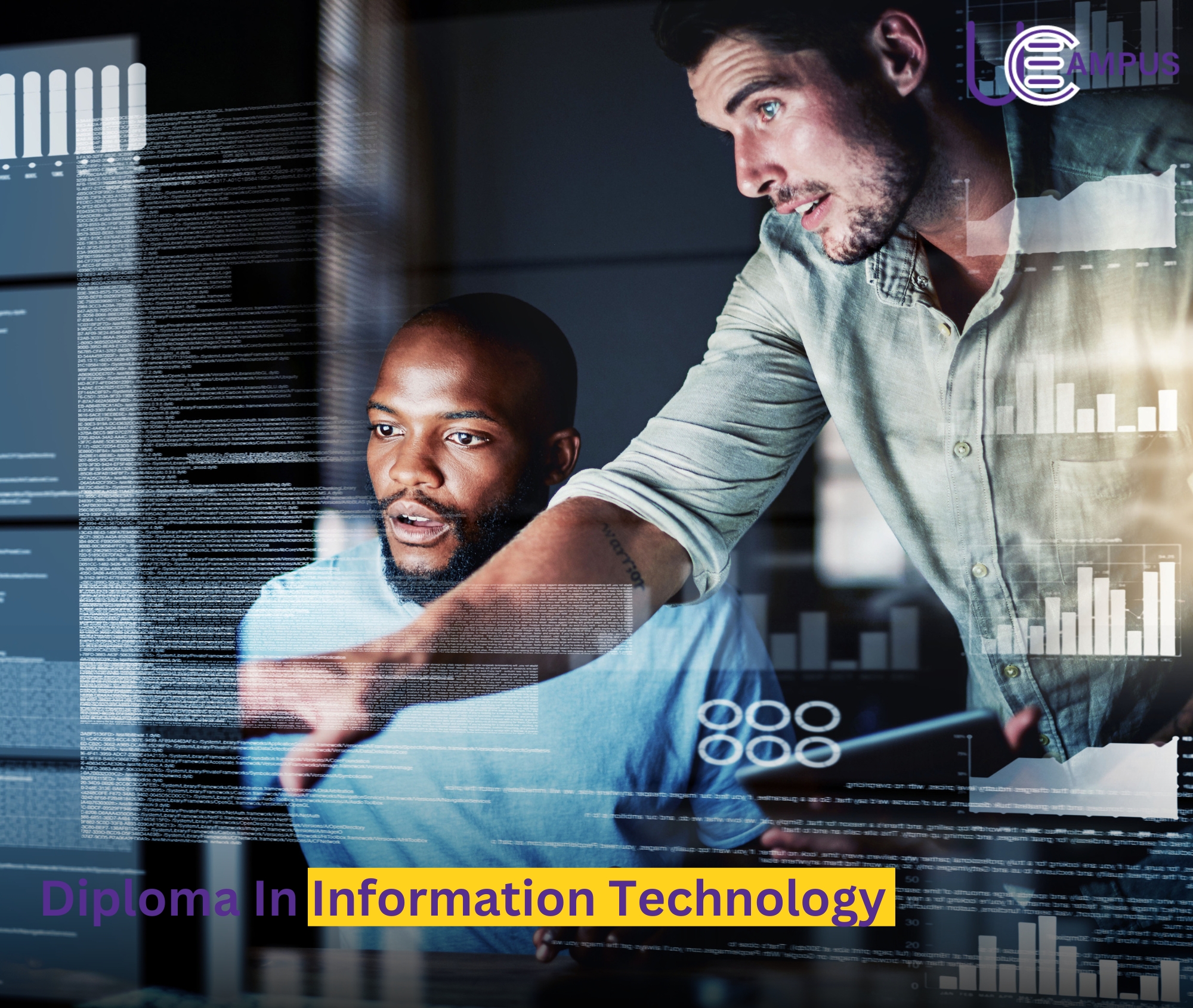 Level 5 Diploma in Information Technology